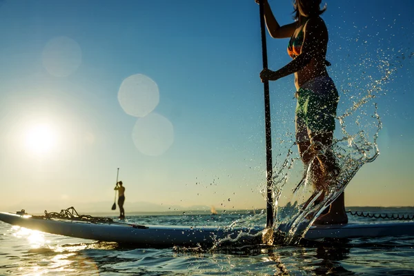 Paddleboard Rental in Stuart and Hutchinson Island